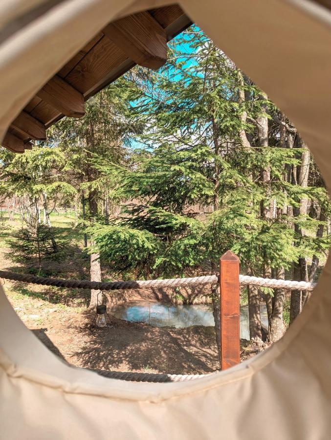 Medve Dome - Luxury Camping In The Middle Of Nature Hotel Vlahita Exterior photo
